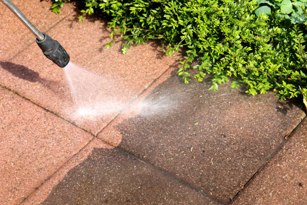 Best House Pressure Washing  in Creston, OH
